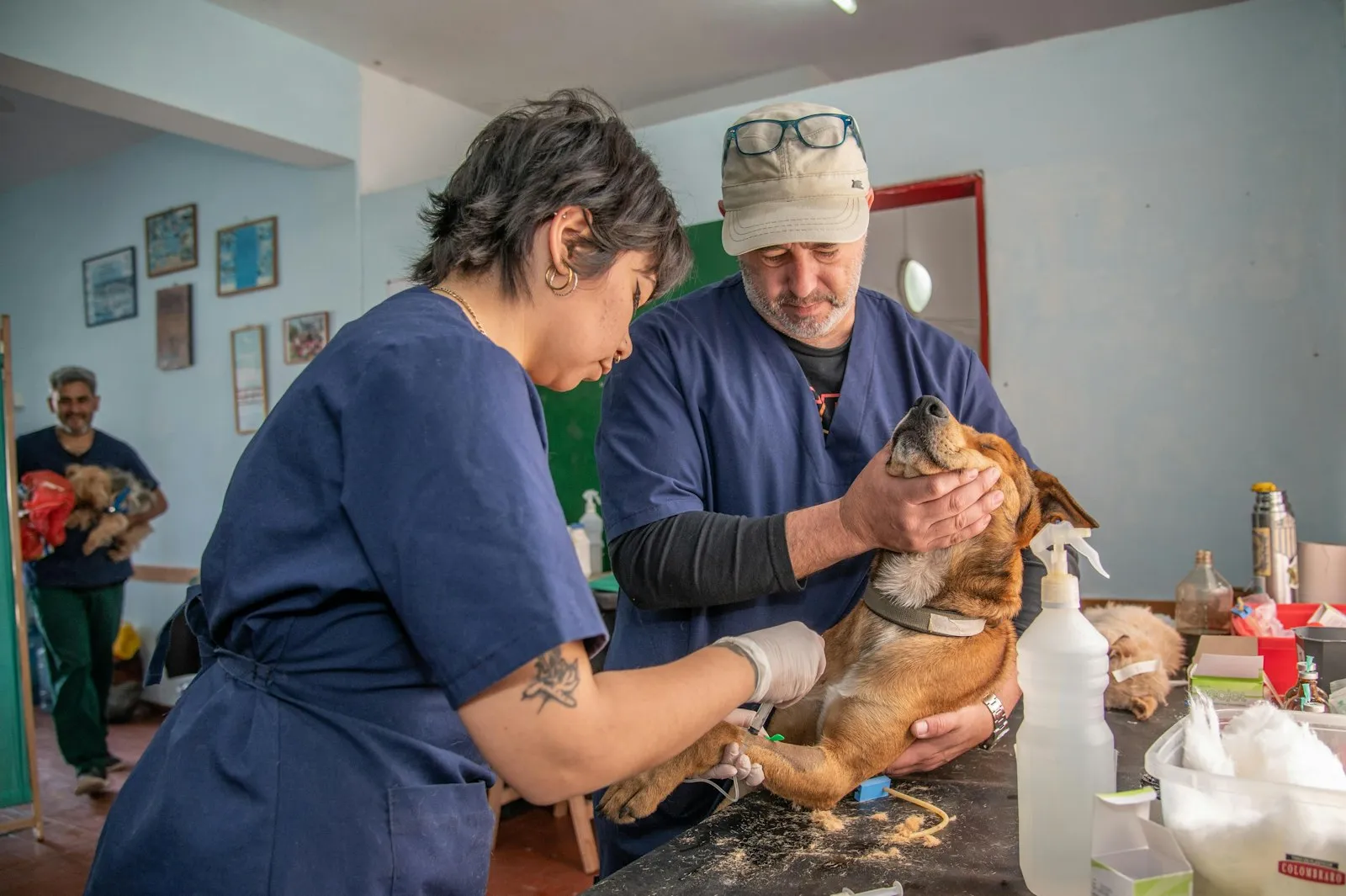 Twee dierenartsen in werkkleding behandelen samen geconcentreerd een jonge hond op de behandeltafel