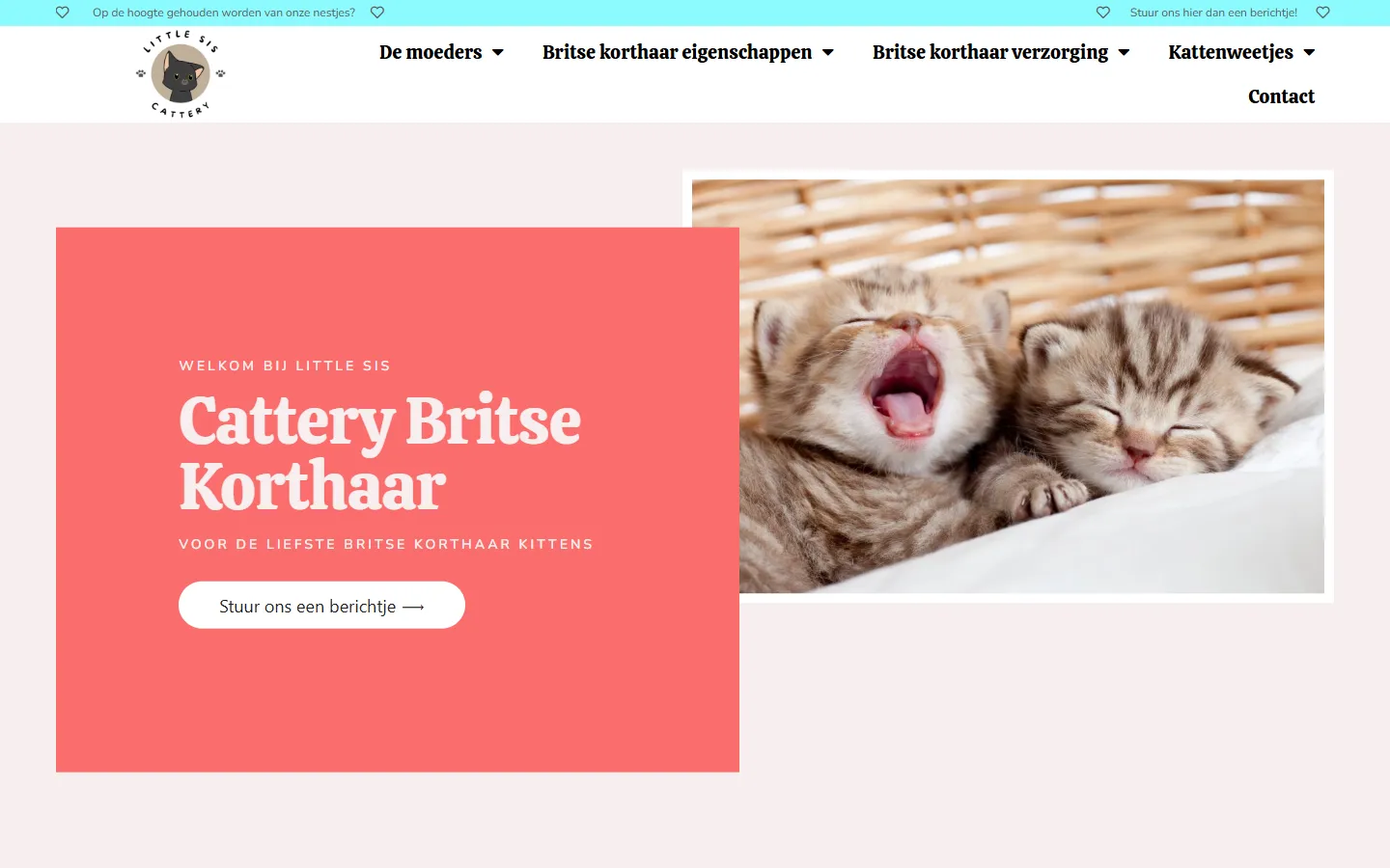 Screenshot van Little Sis — little-sis.nl